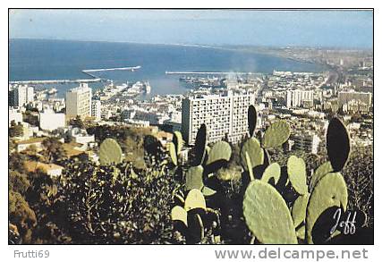 ALGERIA - AK 56399 Alger - Panorama