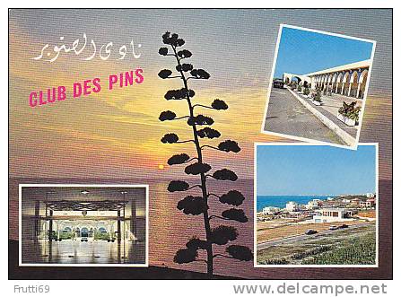 ALGERIA - AK 56405 Les Plags d'Alger - Club des Pins