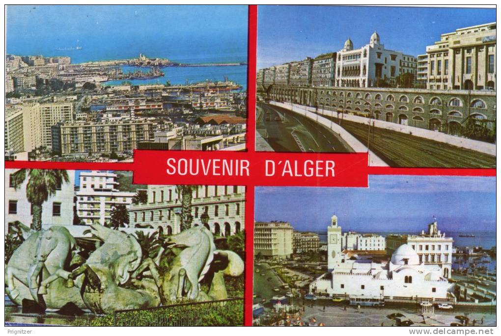 ALGERIE / ALGERIEN    Souvenir d'Alger