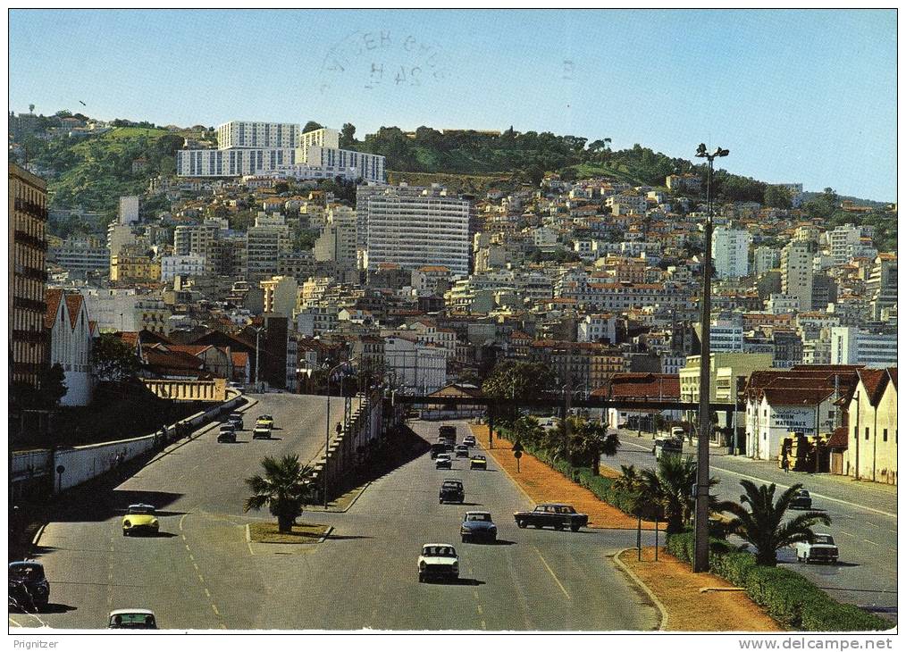 ALGERIE / ALGERIEN / ‏ال 80;زائ& #1585;      Alger La Blanche    Avenue de la I' A