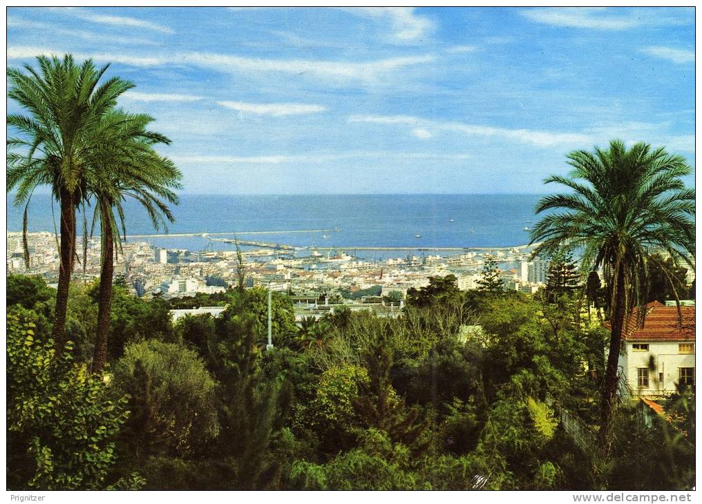 ALGERIE / ALGERIEN / ‏ال 80;زائ& #1585;      Alger Vue Generale