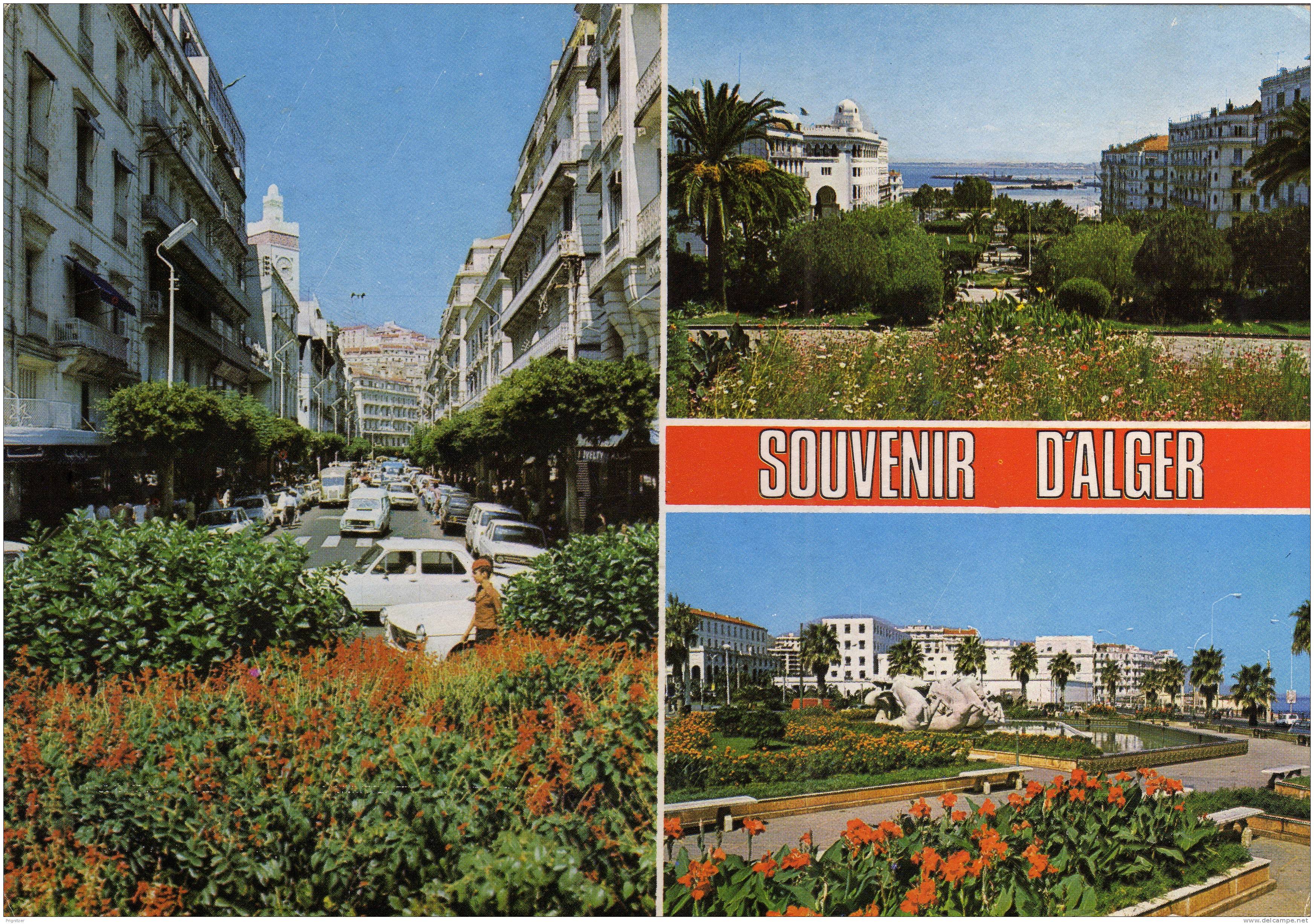 ALGERIE / ALGERIEN    Souvenir d'Alger