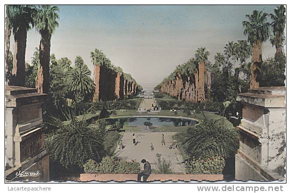 X9453 ALGERIE ALGER EL DJEZAIR LE JARDIN D´ ESSAI ANNEES 60 ?