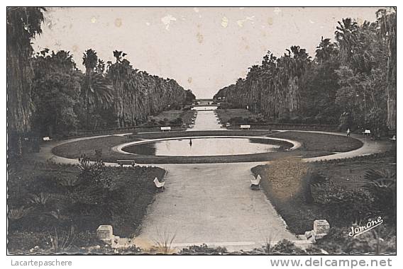 X9458 ALGERIE ALGER JARDIN D´ ESSAI EN 1954