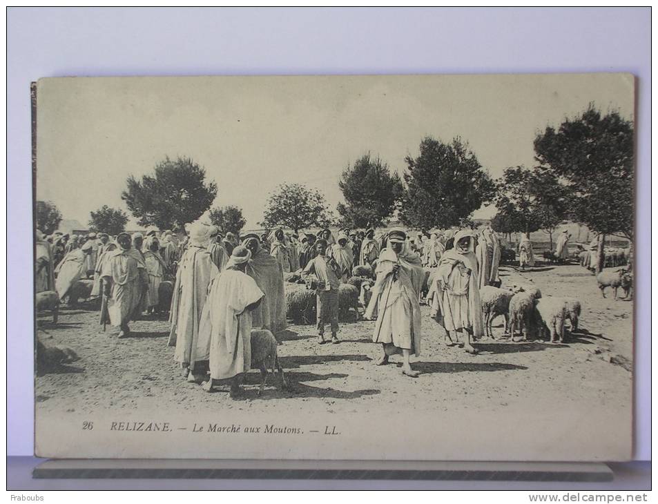 (ALGERIE) - RELIZANE - LE MARCHE AUX MOUTONS - ANIMEE