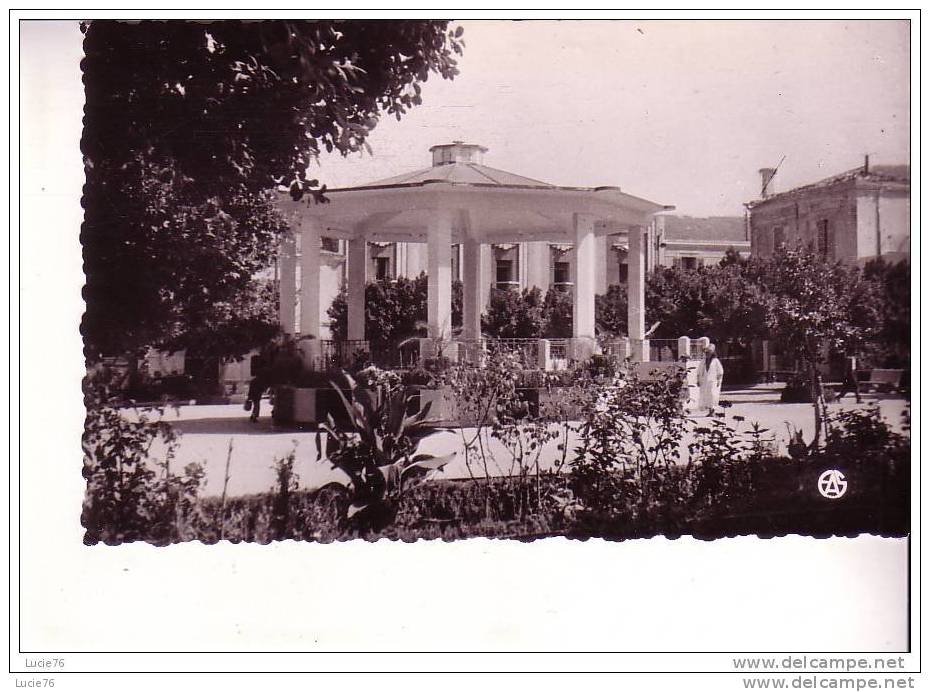 RELIZANE  -  La Place de la  Mina et le Kiosque  - n° 12