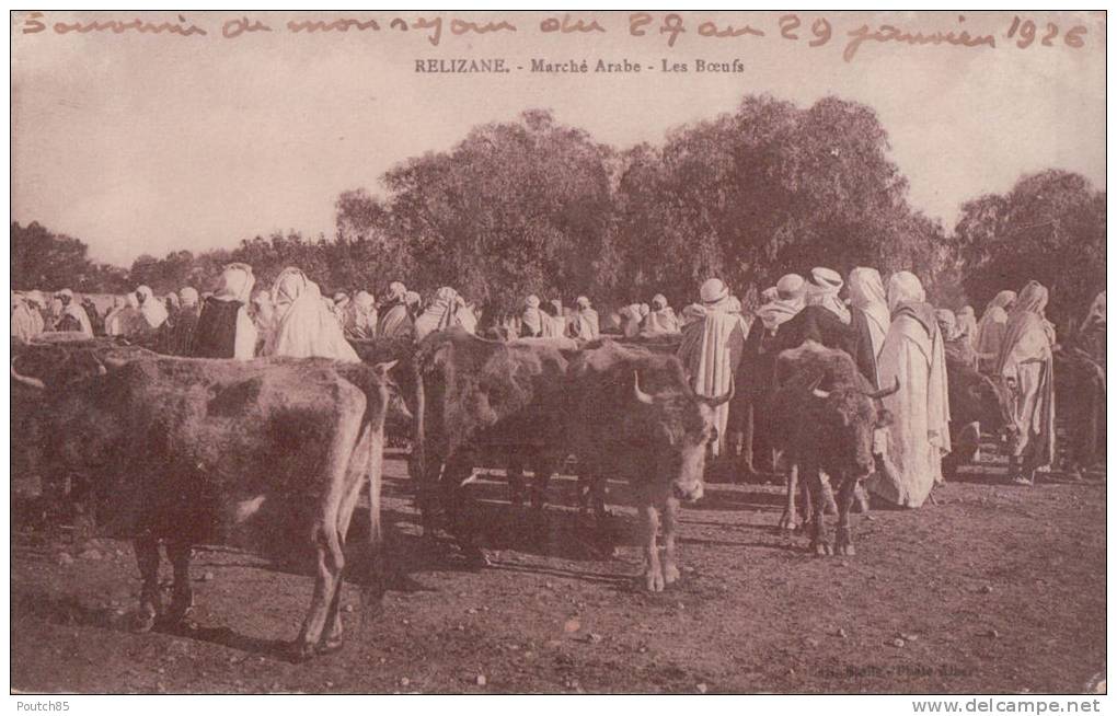 PORT GRATUIT  8500    RELIZANE