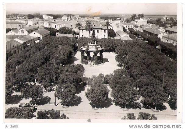 H 221 CPSM  RELIZANE PLACE DE LA MAIRIE