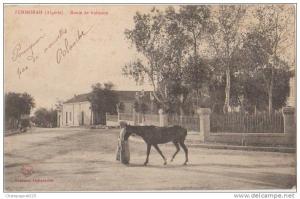CPA ALGERIE ZEMMORAH Route de Relizane Cheval 1905