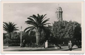 AFRIQUE - ALGERIE - RELIZANE - Jardin de l'Église