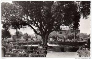 ALGERIE  ORAN RELIZANE   SQUARE D. RIVIERE