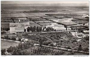 Algerie CPSM Relizane(Oran) Vue Aerienne