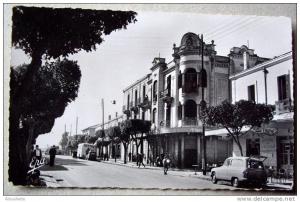 Algérie - CP N°AG702 - Relizane - CPSM/E