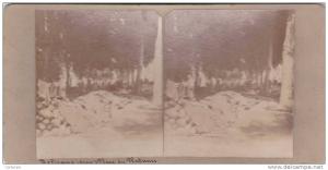 carte photo stéréoscopique unique,algérie,ORAN,RELIZ ANE,place des platanes,colonisation française,collection  PRION,rare