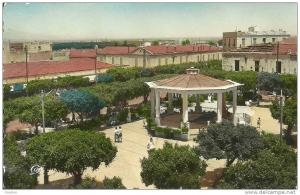 RELIZANE LA PLACE COLONNA D ORNANO N° 1513 ( KIOSQUE  MUSIQUE )