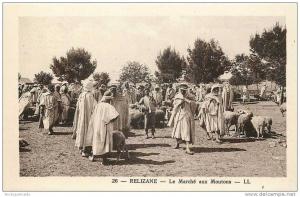 ARFICA - RELIZANE - LE MARCHE AUX MOUTONS - SHEEP MARKET - VINTAGE POSTCARD