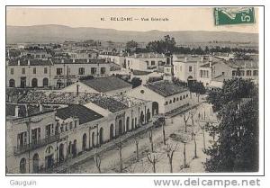 CPA - RELIZANE – VUE GENERALE – Edition Idéale P.S