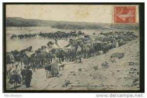 ALGERIE RELIZANE /            Caravane en marche         /