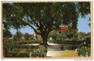 CPSM Algérie  Oran   Relizane