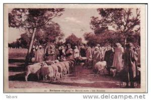 Algeria, Relizane. Marché arabe. Les moutons.CPA