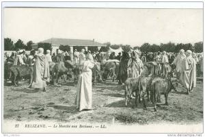 RELIZANE - Le Marché aux Bestiaux