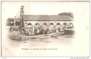 Relizane - Le Marché aux figues de Barbarie