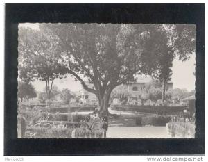 relizane (oran) square d.rivière édit.combier belle cpsm