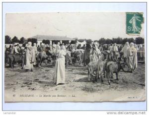 CPA - Algérie - RELIZANE - Marché aux Bestiaux LL