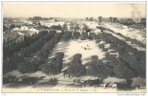 RELIZANE - Place de la Mairie - Animation, attelages,... (839)