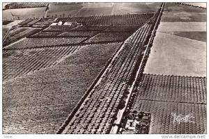 NK-DV 057-Algérie-Oranais-Reliz ane-Vue Aérienne-