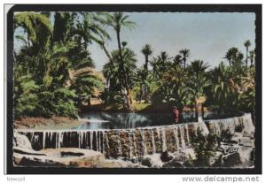 SD)45) Ain Sefra (environs) Tiout - Le Barrage