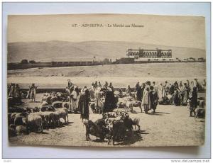 cpa, très belle vue animée, Aïn Sefra, le marché aux moutons