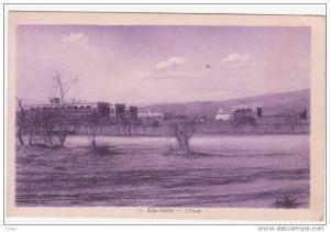 Algérie - AIN SEFRA - L'Oued