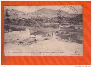 1 cpa  Sfissifa rue la route d'Ain Séfra à Forthassa Gharbia