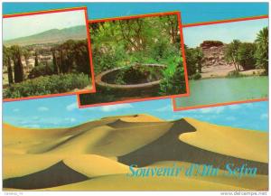 Algerien, Algeria - Souvenir d´Ain-Sefra - AK3746