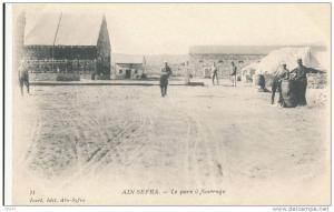 AIN SEFRA - Le Parc à Fourrage