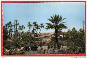 N° 12- AIN-SEFRA - Oasis Ksar. Edition EPA