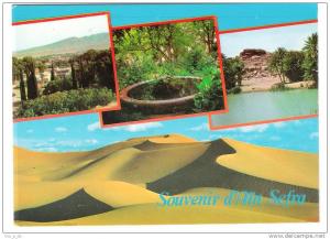 Algerien - Algerie - Souvenir d`Ain Sefra