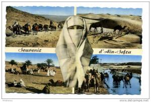 CPA / ALGERIE / AIN SEFRA