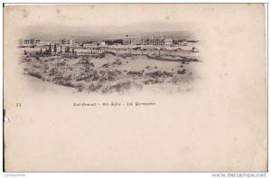 ALGERIE SUD ORANAIS AIN SEFRA LES QUINCONCES.CPA BON ETAT