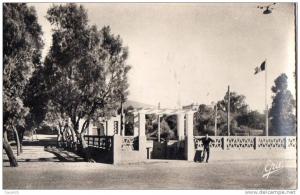 ALGERIE - AIN-SEFRA - Le Boulomane