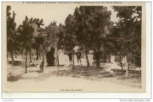 Aïn Séfra ( Sud Oranais ) Institution LAVIGERIE dirigée par les Pères Blancs - Un coin du Jardin