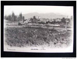 H 253) Algérie - Aïn Sefra - FP - non viaggiata