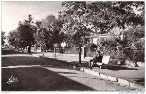 cpsm ain sefra, jardin public