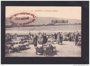 IB074 - AIN SEFRA - Le marché aux moutons - (Algérie)