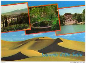 ALGERIE / ALGERIEN / ‏ال 80;زائ& #1585;    Souvenir d'Ain Sefra