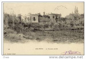 cpa-Algerie-Aïn Séfra-le bureau Arabe