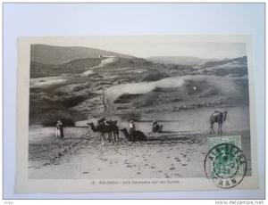 AÏN-SEFRA    Une Caravane sur les  DUNES