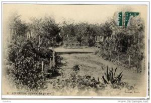 ALGERIE  AIN SEFRA  JARDIN DES PLANTES