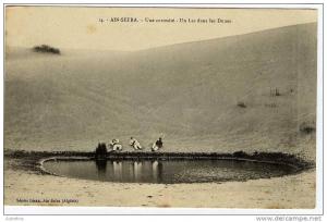 ALGERIE  AIN SEFRA  UNE CURIOSITE  UN LAC DANS LES DUMES